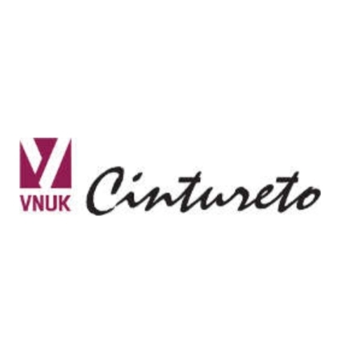 Cintureto logo