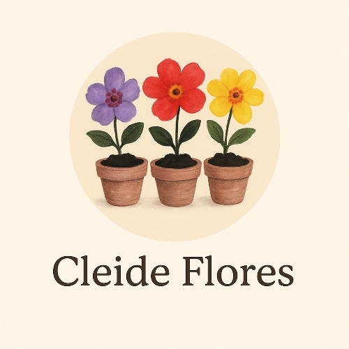 Cleide -Flores-feira-hippie-bh Cleide -Flores-feira-hippie-bh
