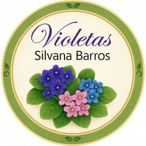 Violetas - Silvana -Barros-feira-hippie-bh Violetas - Silvana -Barros-feira-hippie-bh